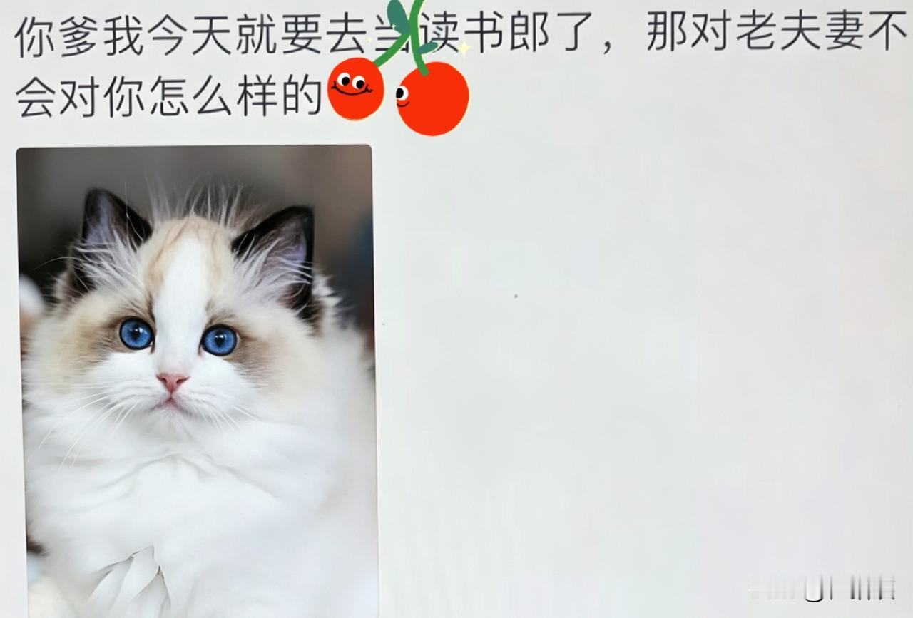 你爹我今天要去做读书郎了，那对老夫妻不知道会对你怎么样？[呲牙]
朋友孩子今天昨