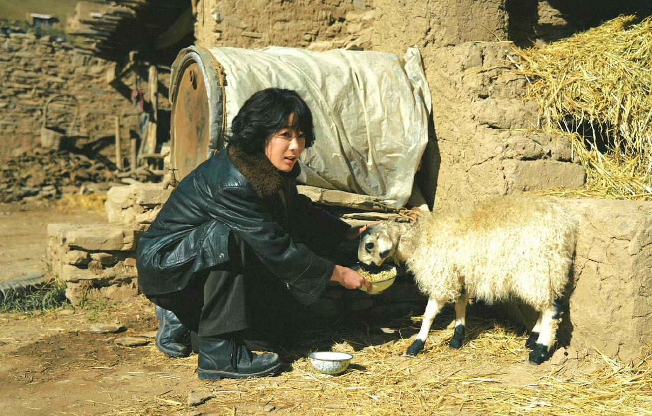 影视剧祯娘传[超话]杨紫李祯 yz‍杨紫祯娘传 

“我的夜空本星河长明 遇见你