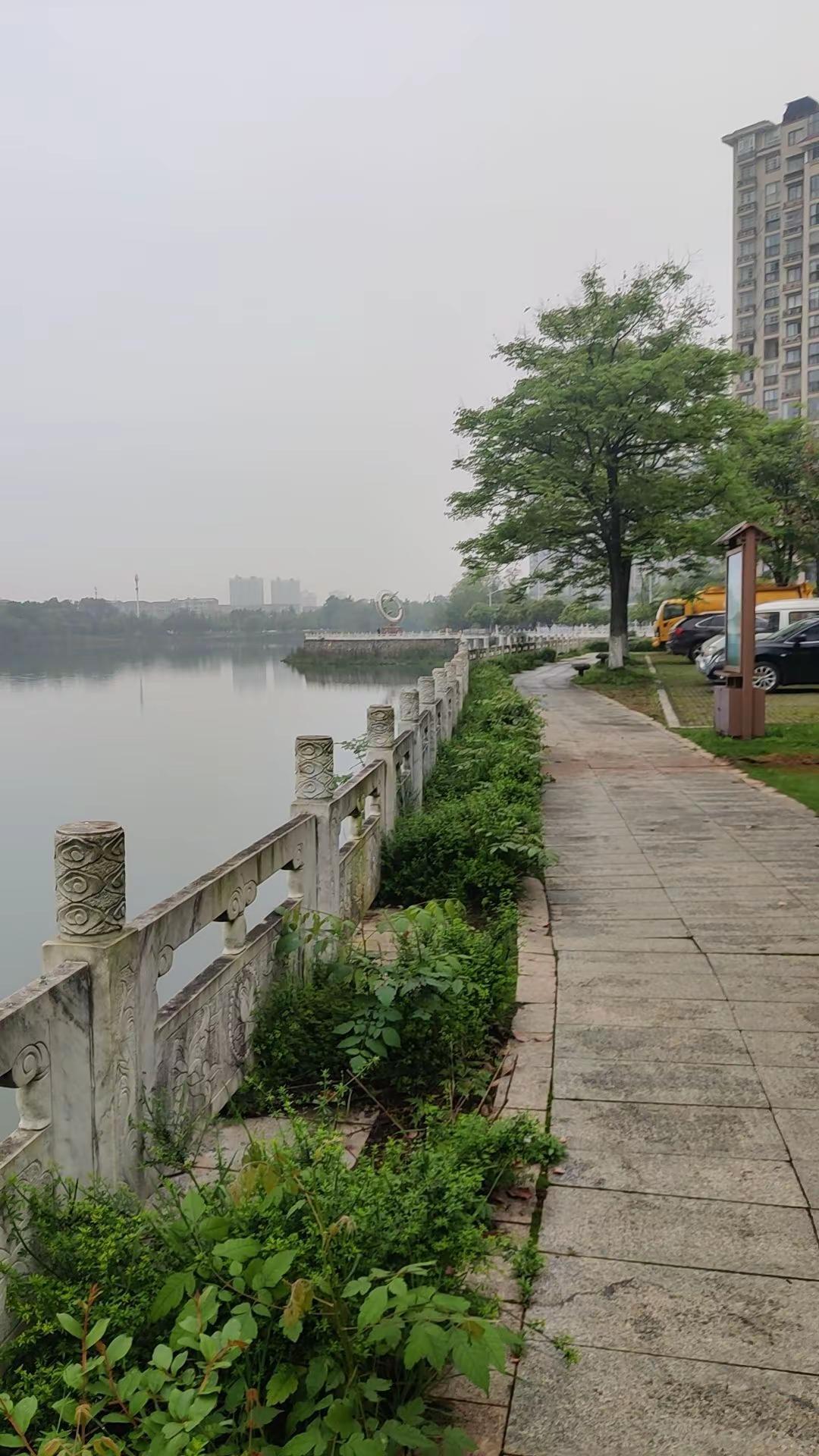 人都渴望自由，可生活处处都是枷锁，生活催你挣钱，年龄催你懂事，在这个尴尬的年纪，