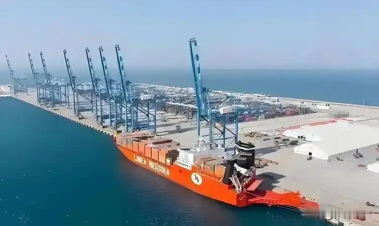 中国对外投资，不能再替“战略感情”买单

近日“巴基斯坦欠中国300亿、转头买美