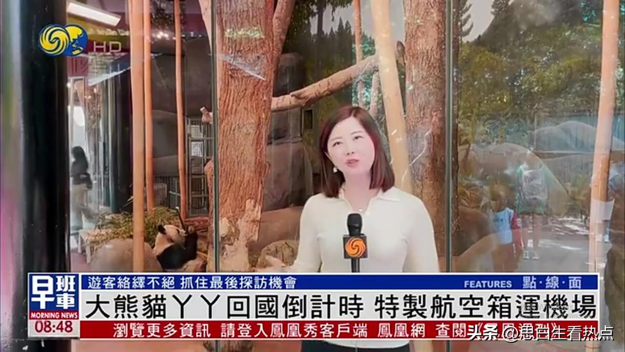 大熊猫丫丫将于明日上午乘坐特制航空箱回国，不知还有没有人关注此事？
大约一两个月