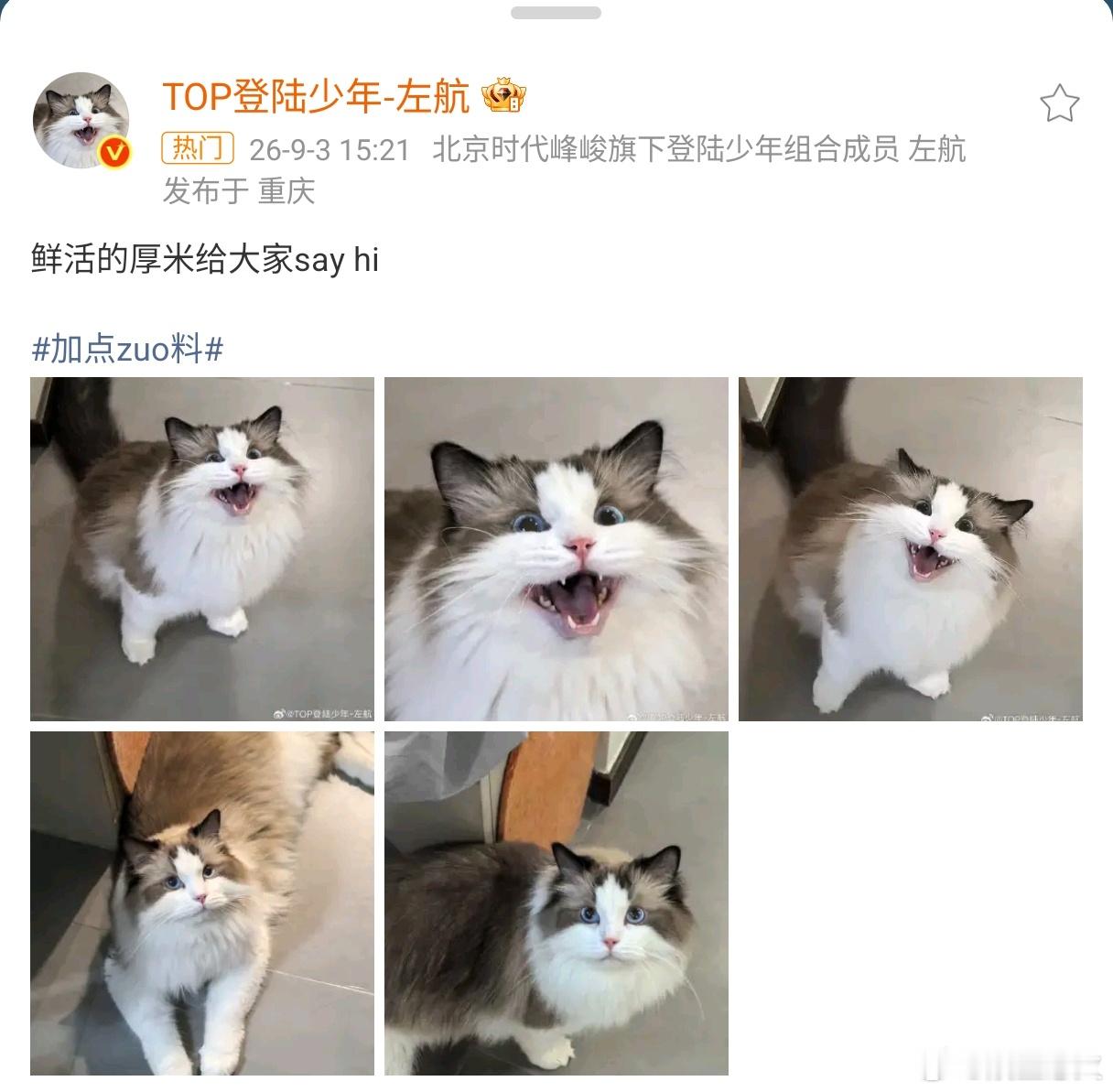 左航换厚米头像 9月3日，左航将微博头像换成了自家猫咪厚米的最新“say hi”