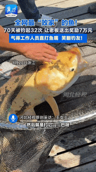 “笑不活了！”浙江，一女子开钓场，从外面拉回一条大鱼，谁钓上来，奖励一根价值20