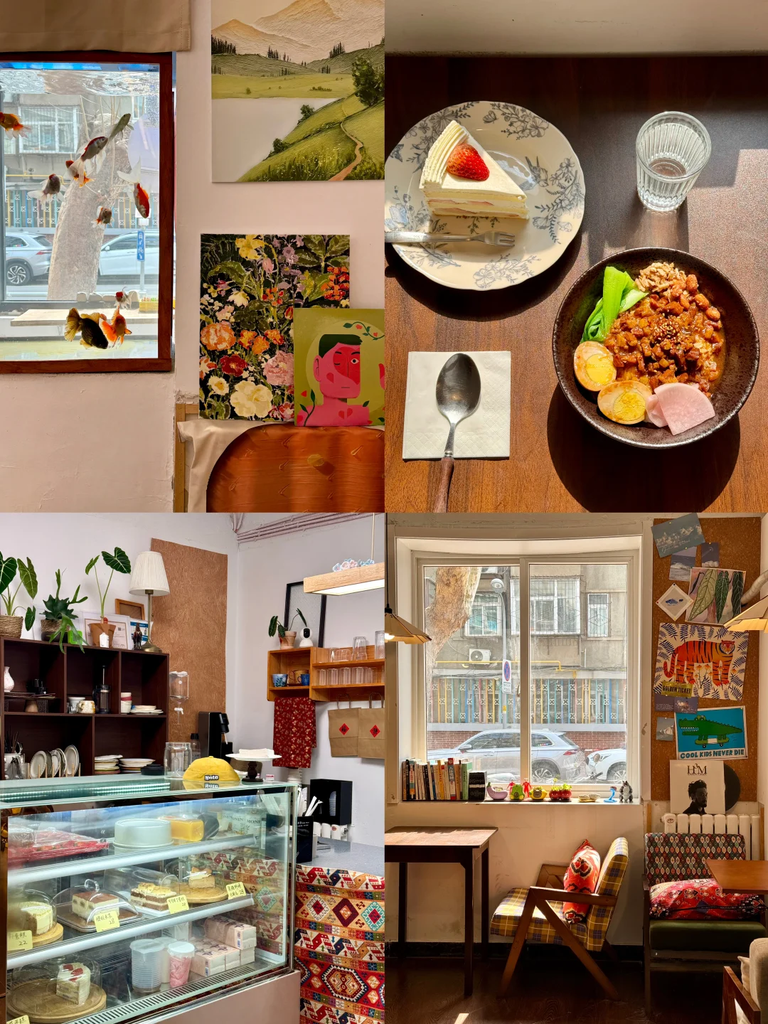 济南新店 被阳光晒透的街边小店🐈