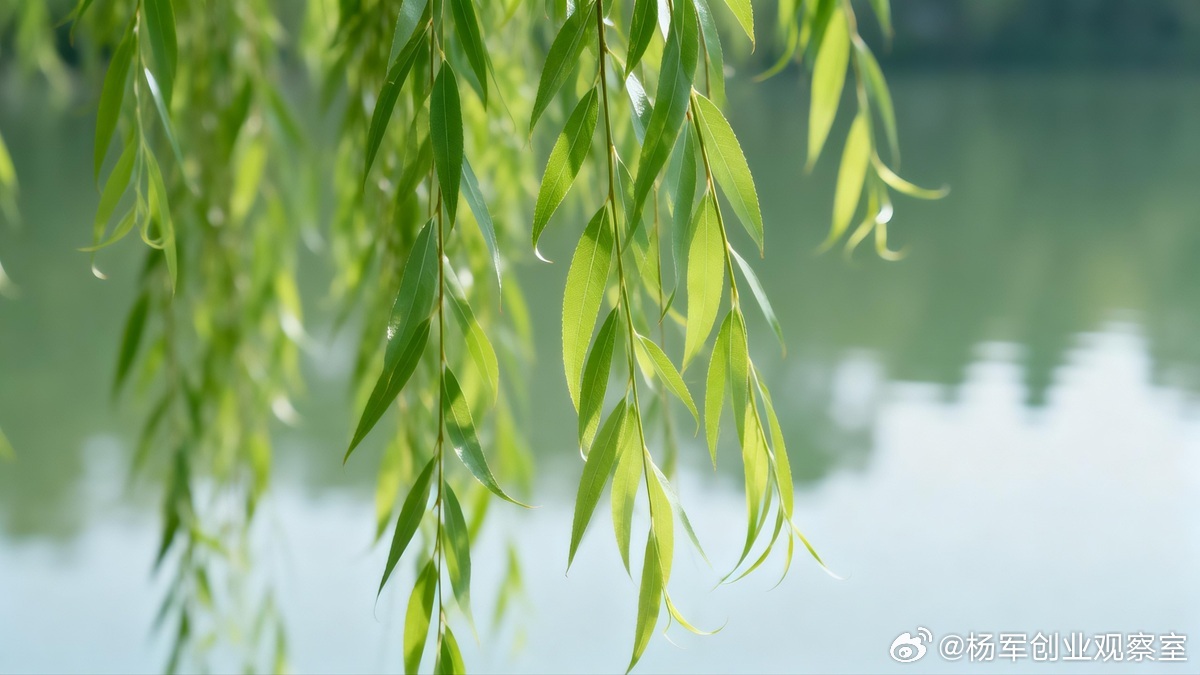 【敢为天下后：后发者的竞争智慧】“敢为天下先”常被奉为圭臬，但“敢为天下后”才是