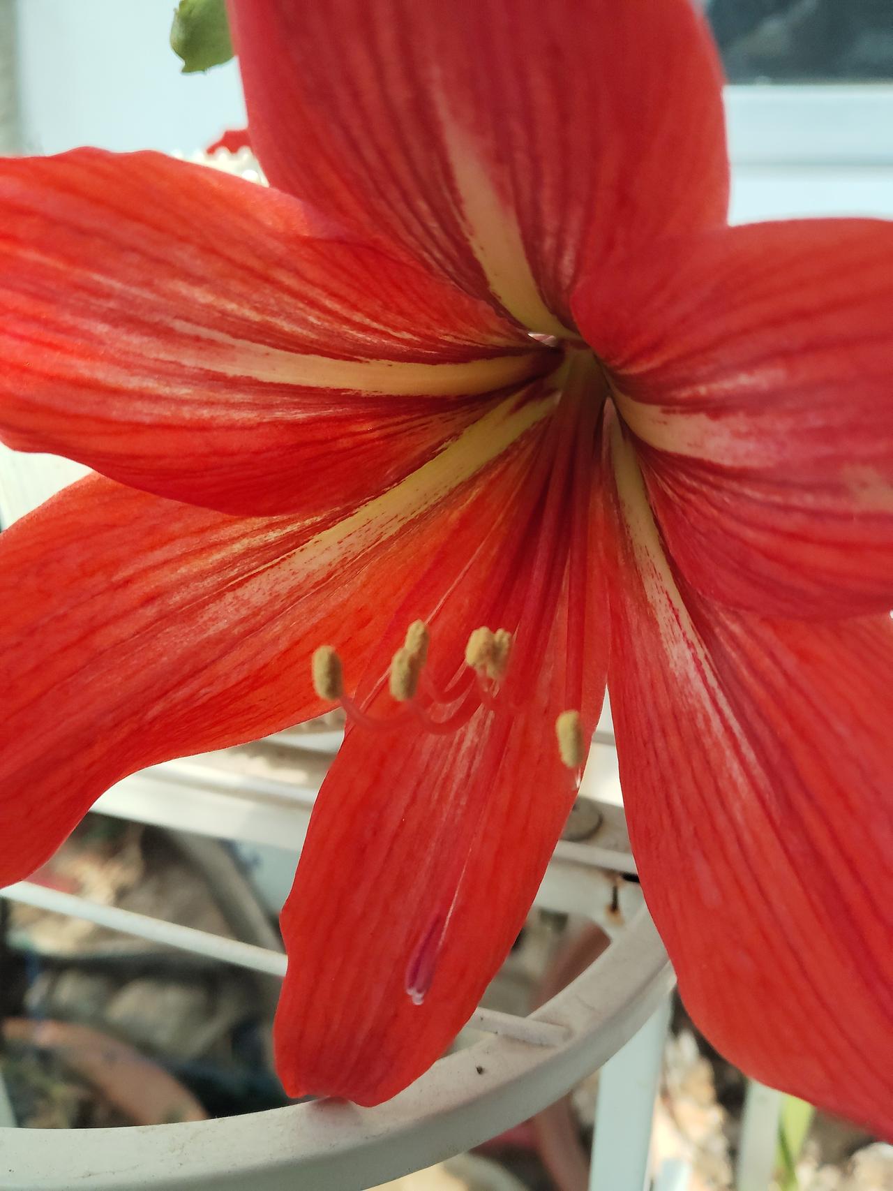 特别容易长寿的人
1、睡眠质量好，晚上头一挨枕头就呼呼大睡的人。
2、容易知足的