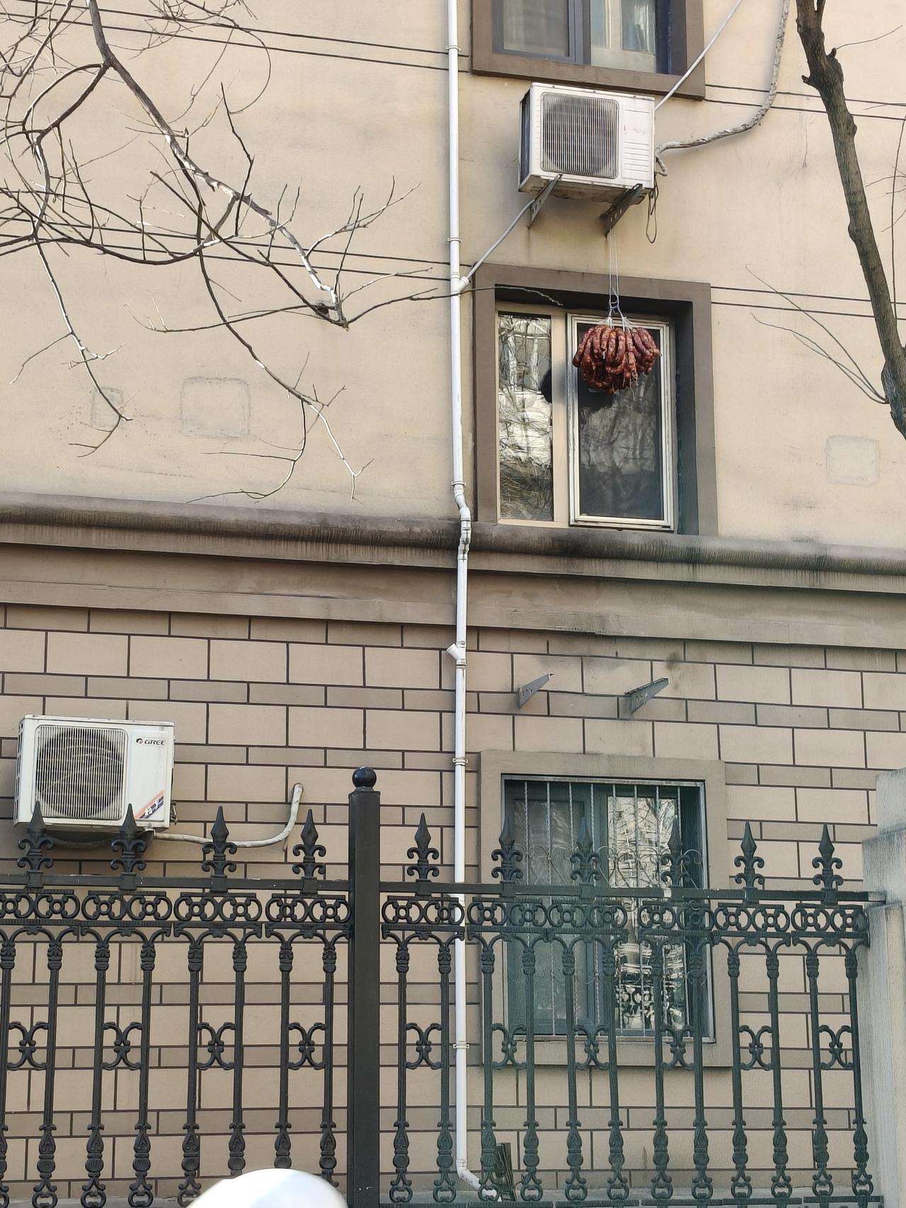 刚刚看到一家窗户上挂着一堆腊肠！
恕我问一下，是不是腊月做的香肠才叫腊肠！家庭腊