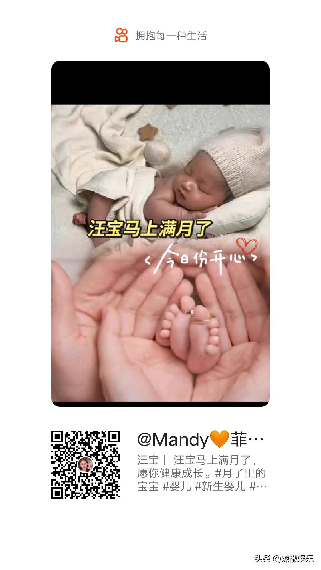 春日生活打卡季