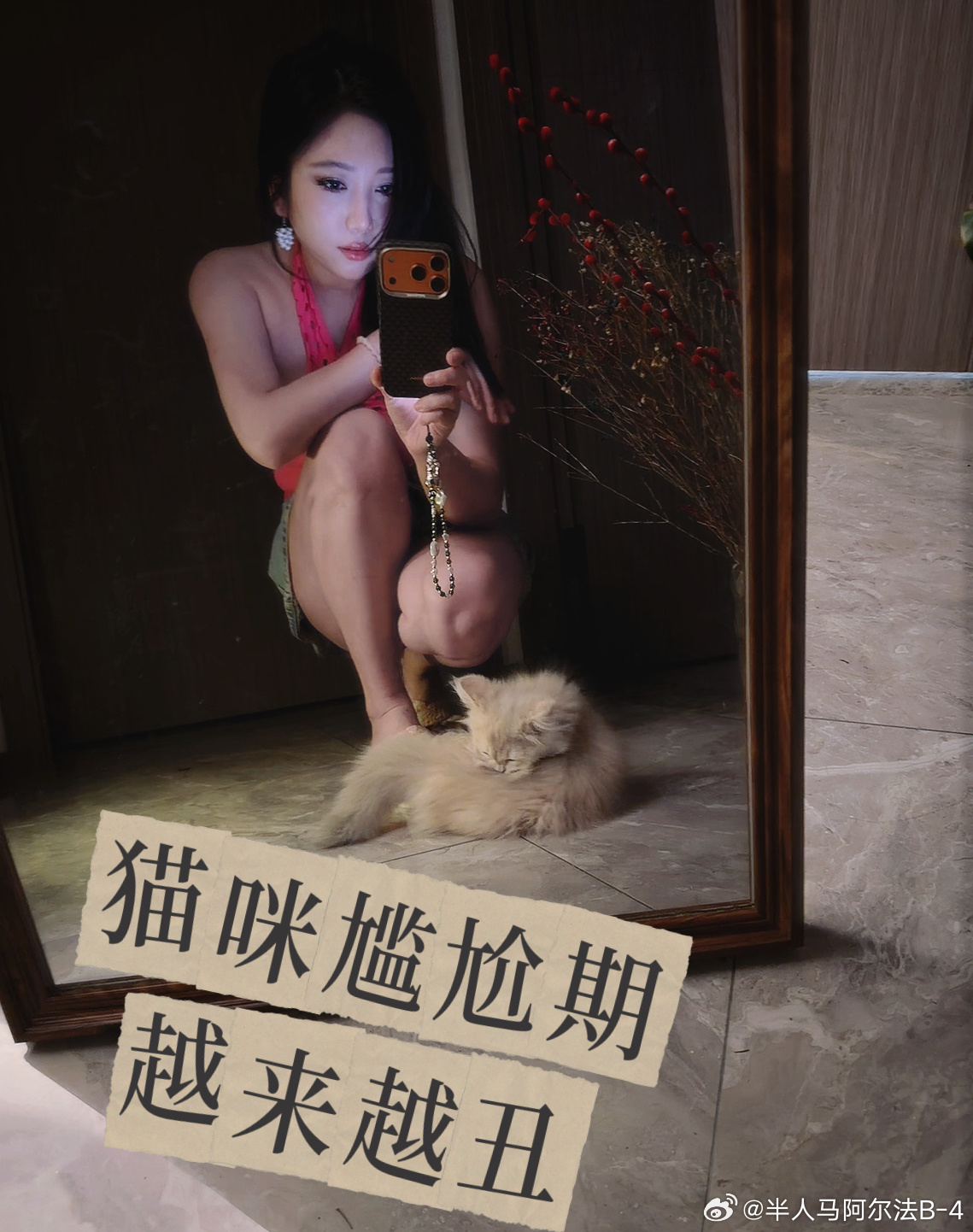 崩溃，我的小猫越来越丑论如何给母猫增肥🐈我的日常plog