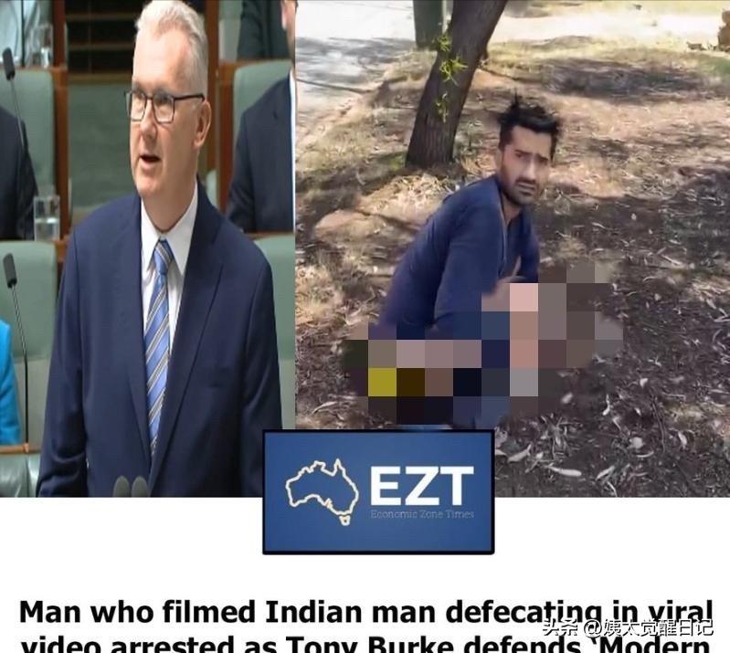 在澳洲树边小解被拍，印裔移民惹争议，拍摄者反被捕，咋回事？

最近网上传个视频，