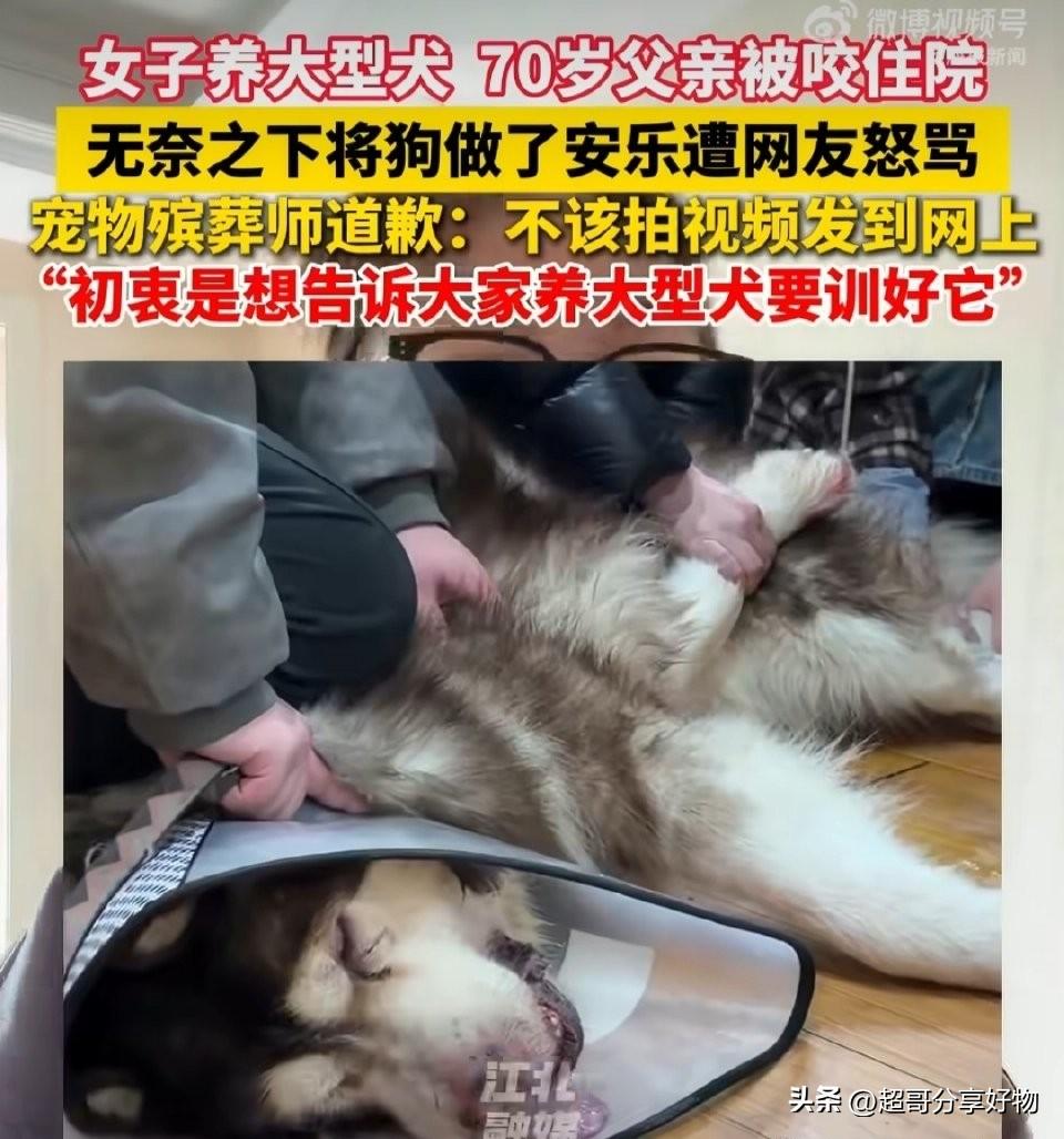 江苏这起“百斤阿拉斯加咬伤70岁父亲后被安乐死”的事件，看似是家庭两难抉择，实则