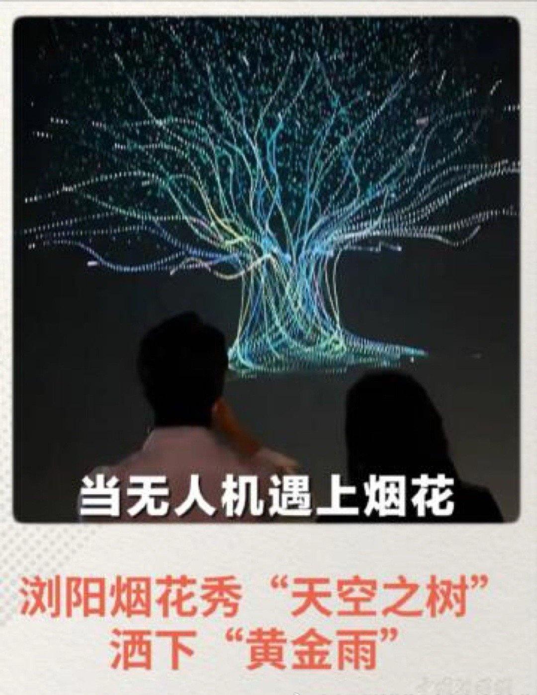 这一男一女，好像我的头像
当无人机遇上烟花 浏阳烟花秀“天空之树”洒下“黄金… 