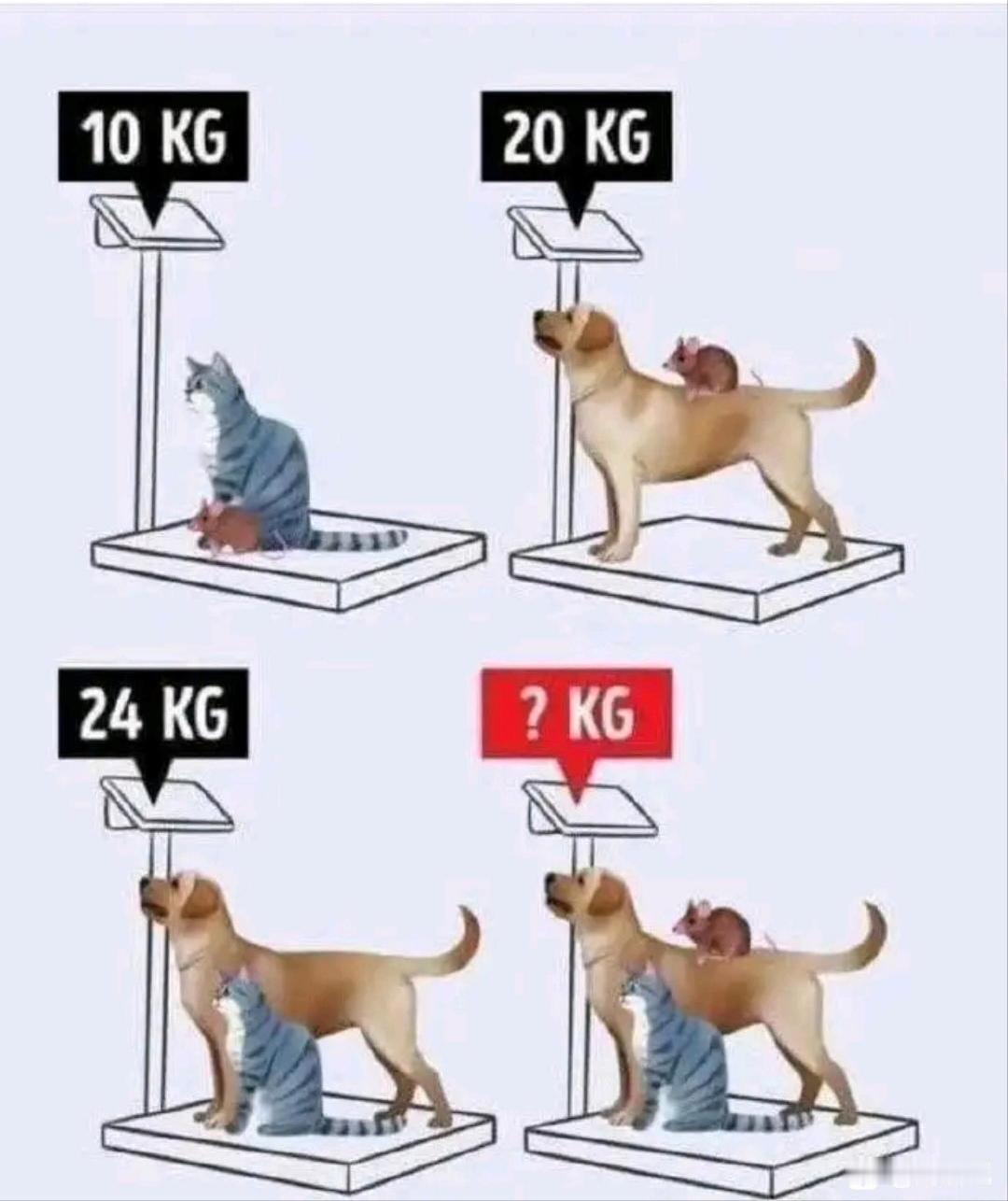 放松下，不看股市不聊经济，来算道题，预防下老年痴呆。
小学三四年级的题，不允许设