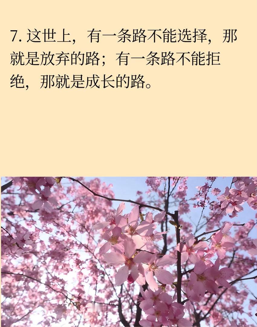 人民日报：人生的烦恼是只想不做，盲目行动 