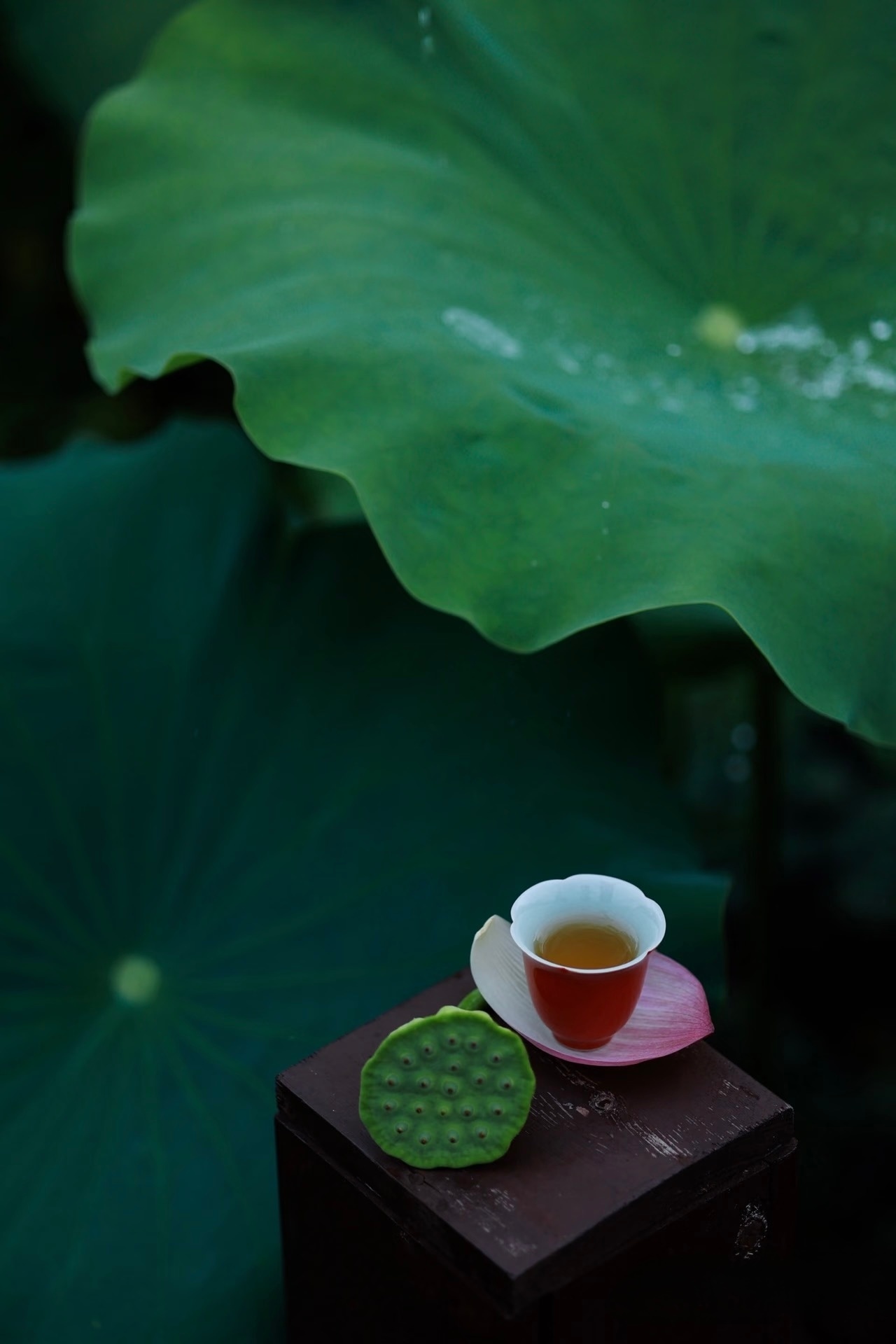 今日小暑真正的盛夏好时光 开启晨曦说