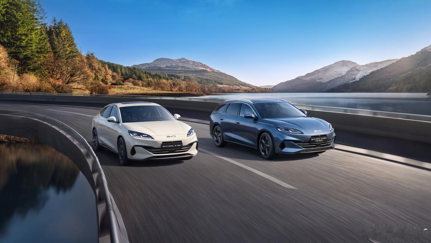 多国销量超越特斯拉！比亚迪登顶全球纯电销量冠军，重构新能源汽车格局！2025年，