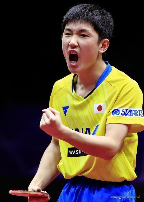 张本智和说松岛辉空，他也不太可能知道王楚欣怎么样？但多打多打就知道王楚欣怎么样，