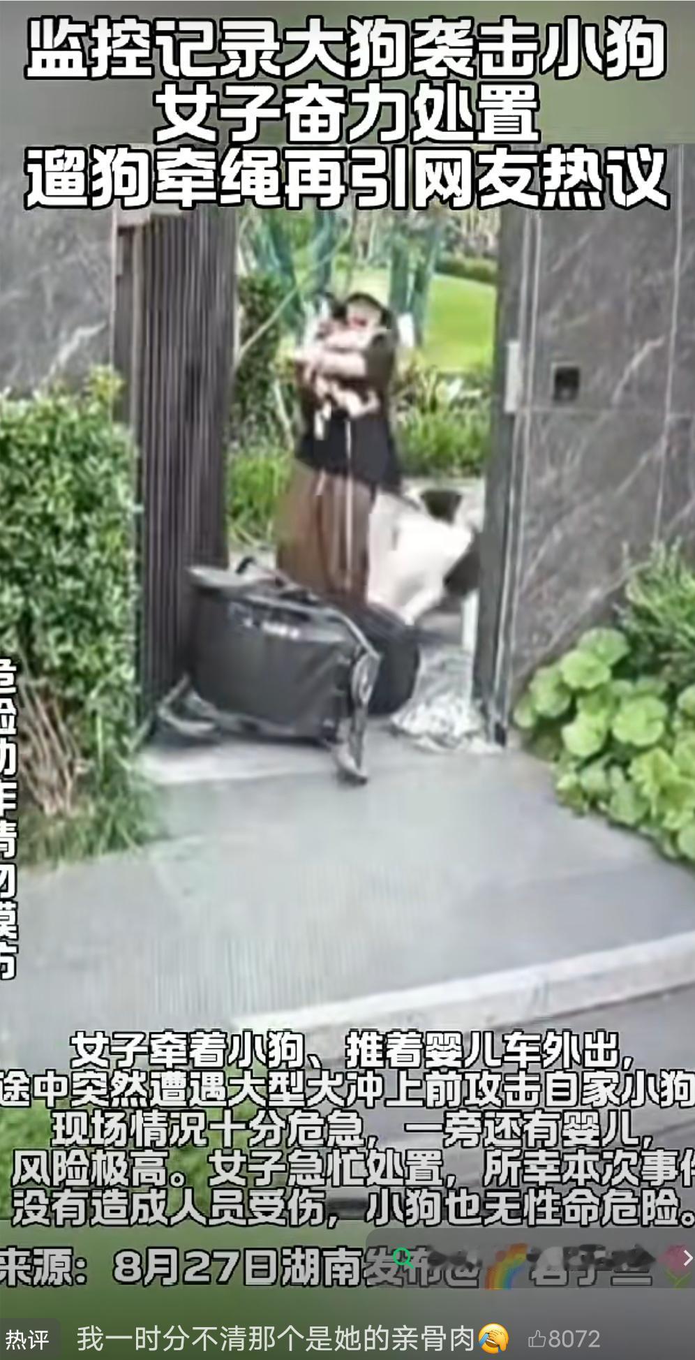 女子的这个举动一时让我分不清到底哪个是她的亲骨肉？
女子牵着小狗推着婴儿车外出，