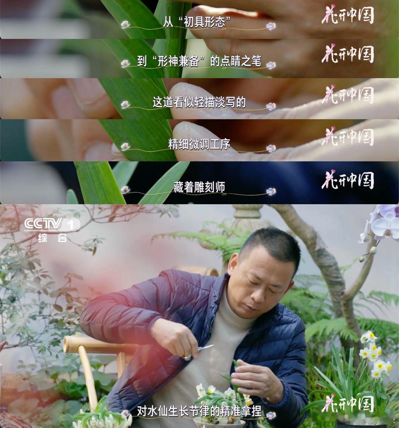 中国手艺人把花养成山水画把水仙花雕刻成花孔雀 这就是中国手艺的魅力！普通水仙化身