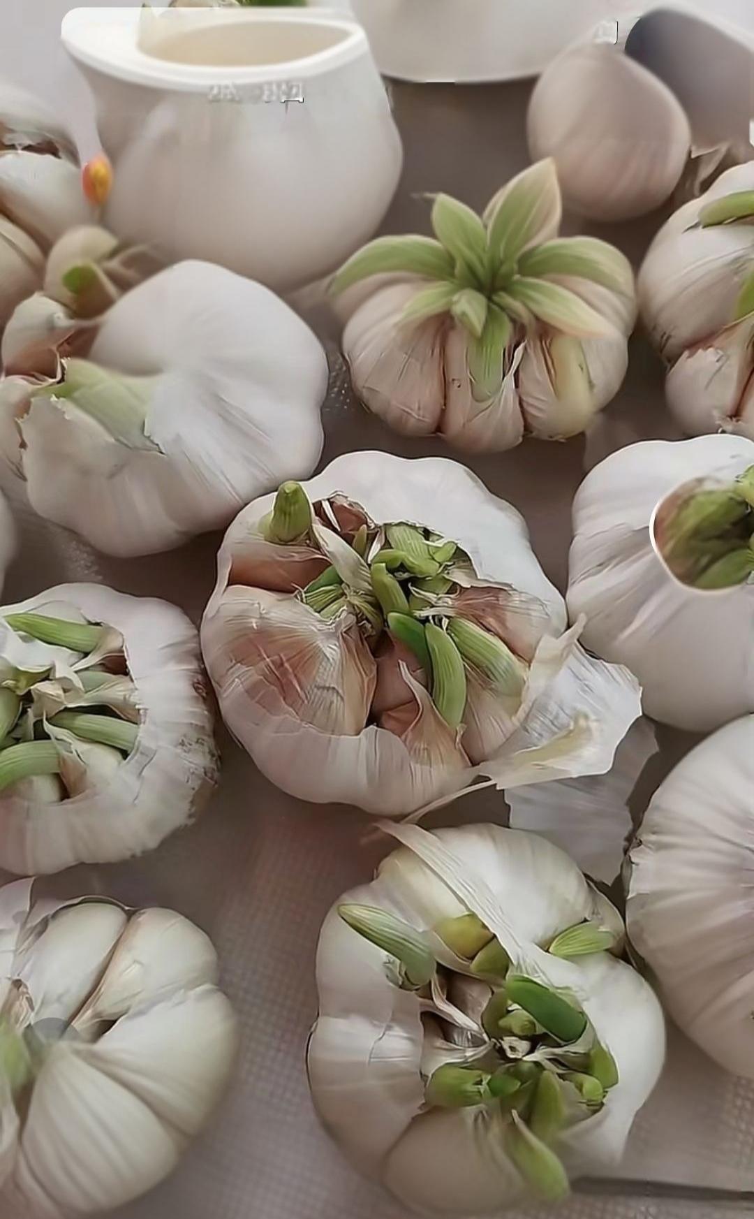 都长芽了！
吃还是扔！
这是个问题！