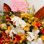刘宇宁谢不完根本谢不完每条都紧扣文案重点，连我提的小建议都认真回应，这份真诚和用