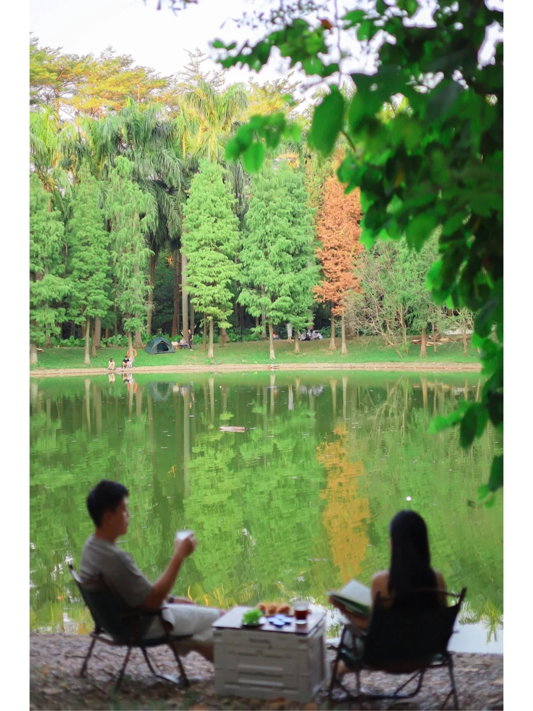 治愈系露营｜广州大学城藏着小湖露营地🏕️