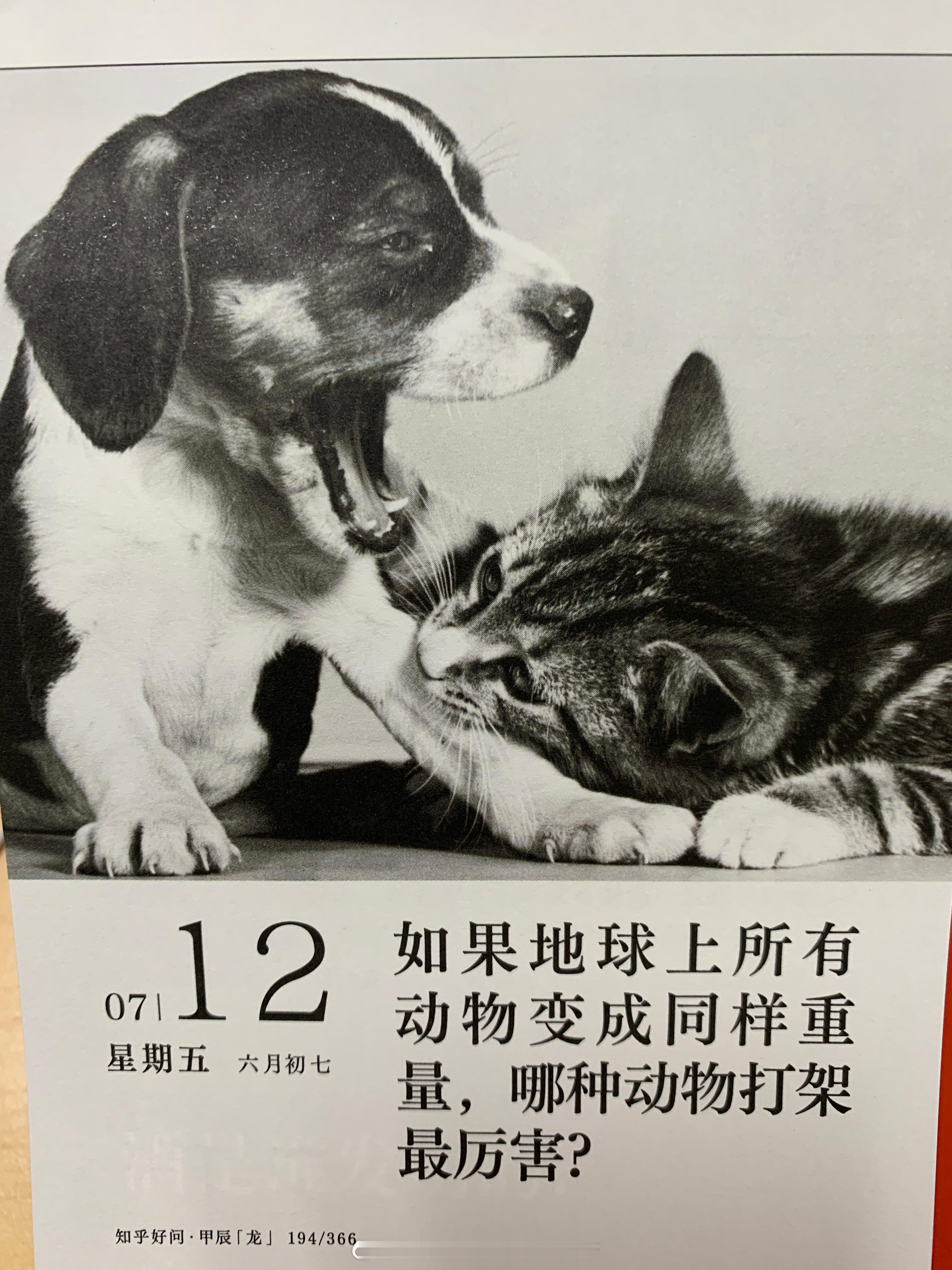 早安朋友们～ ​​​