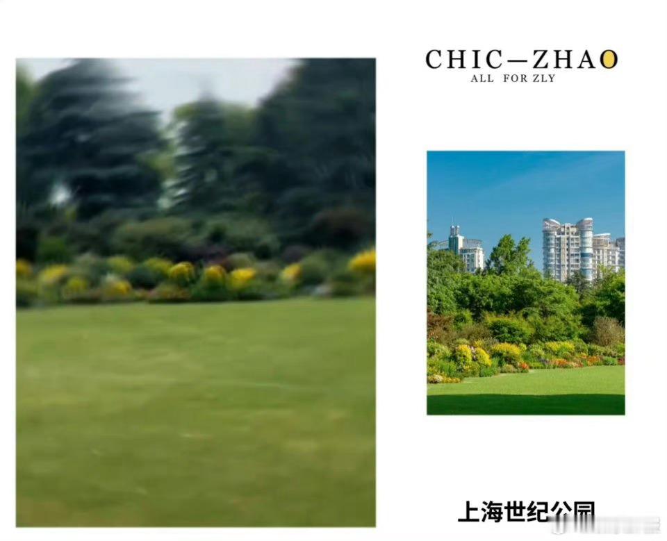 #赵丽颖带儿子想想露营#赵丽颖作为一位备受关注的知名演员,在工作之余常常会选择与