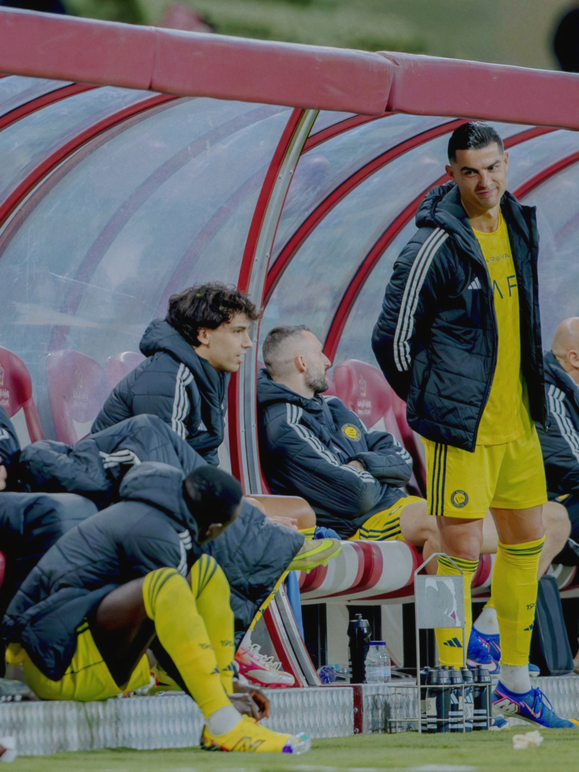 罗教再次上线，虽然罗教并不想当罗教