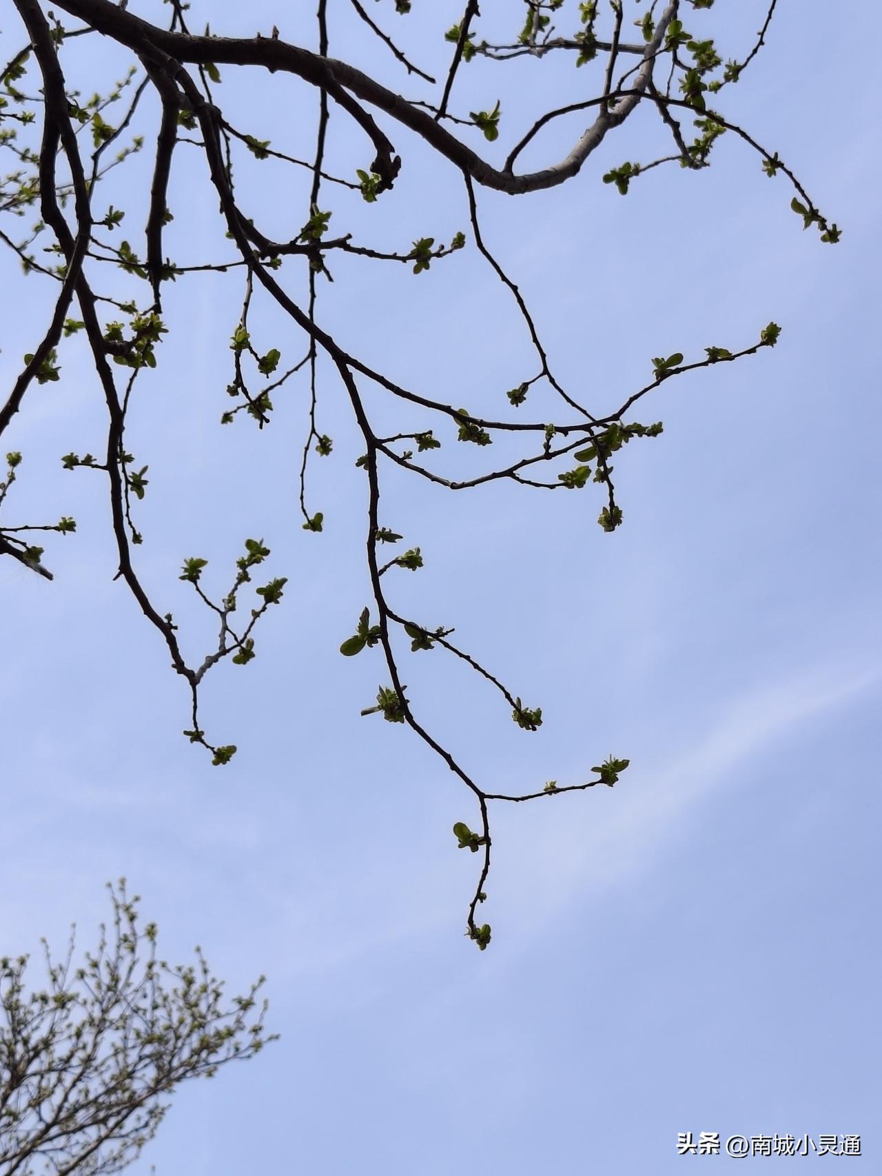 今天怀着无比悲痛的心情参加了一个朋友的葬礼，不到60多岁就因为肺癌去世了。
前一
