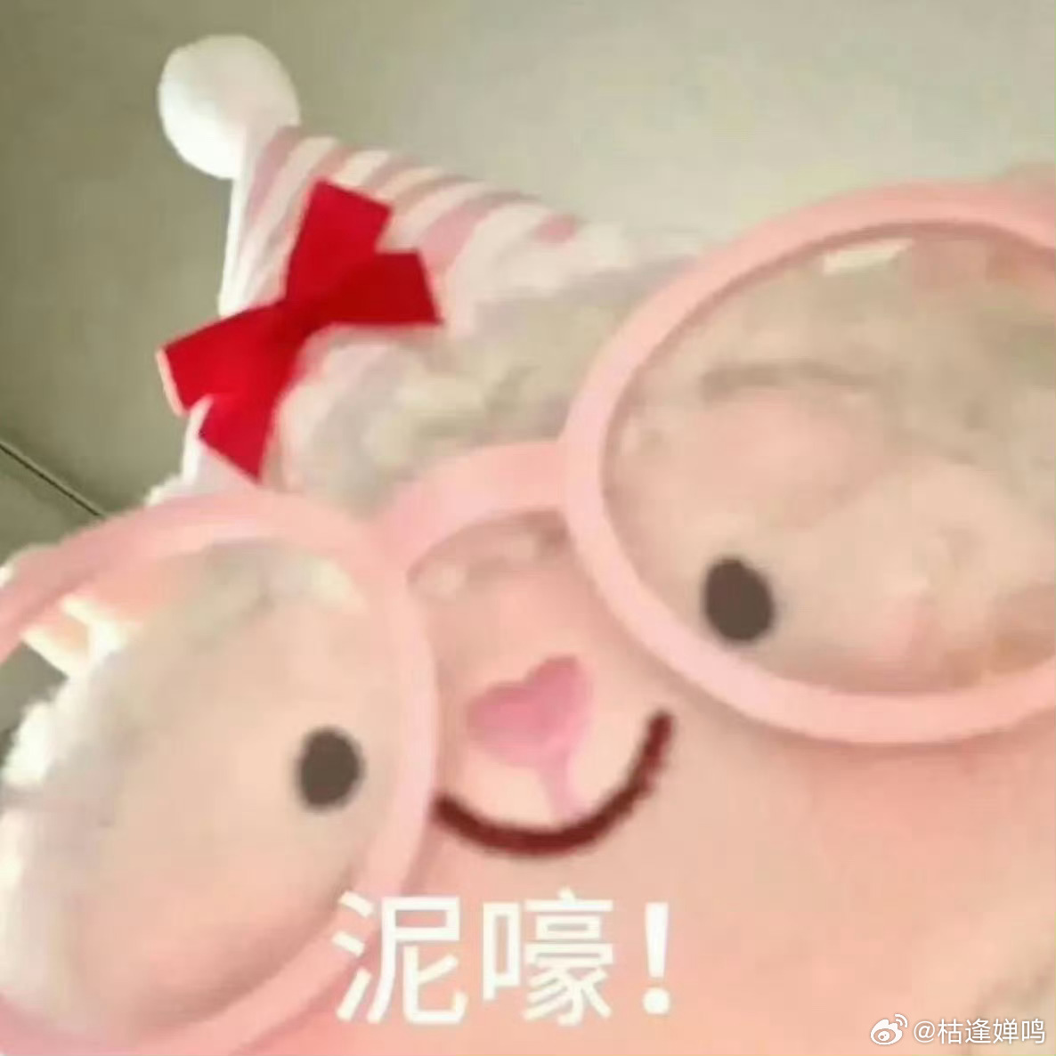 dongdong羊怎么会来 
