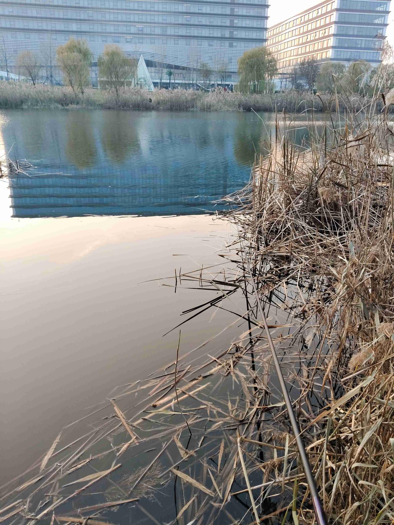 带定位晒今日生活 今天状态轻松愉快，外面阳光正好，是个大晴天！我觉得一定要带定位