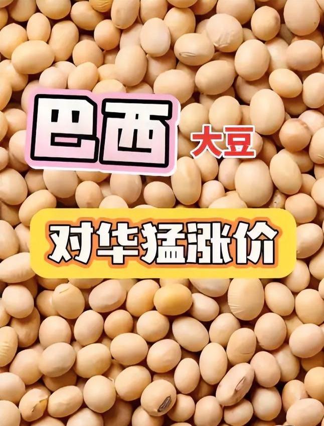 巴西坐地起价，
中国停购反击，
等两个时机破局！

巴西大豆突然提价1美元！国内
