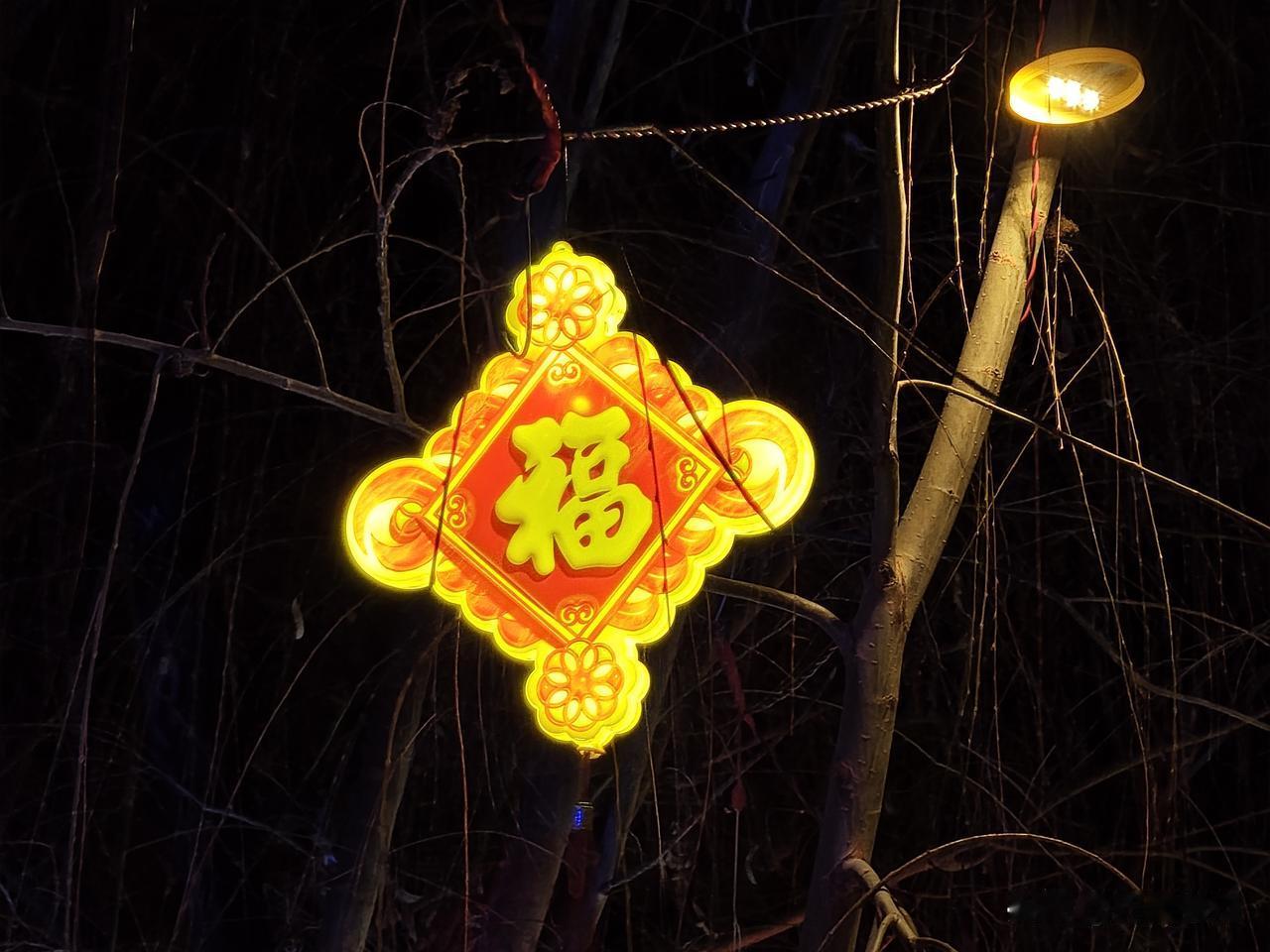 锻炼是必须的
生命在于运动
越是老年人，越要活动筋骨
通过运动
增强心肺功能
增