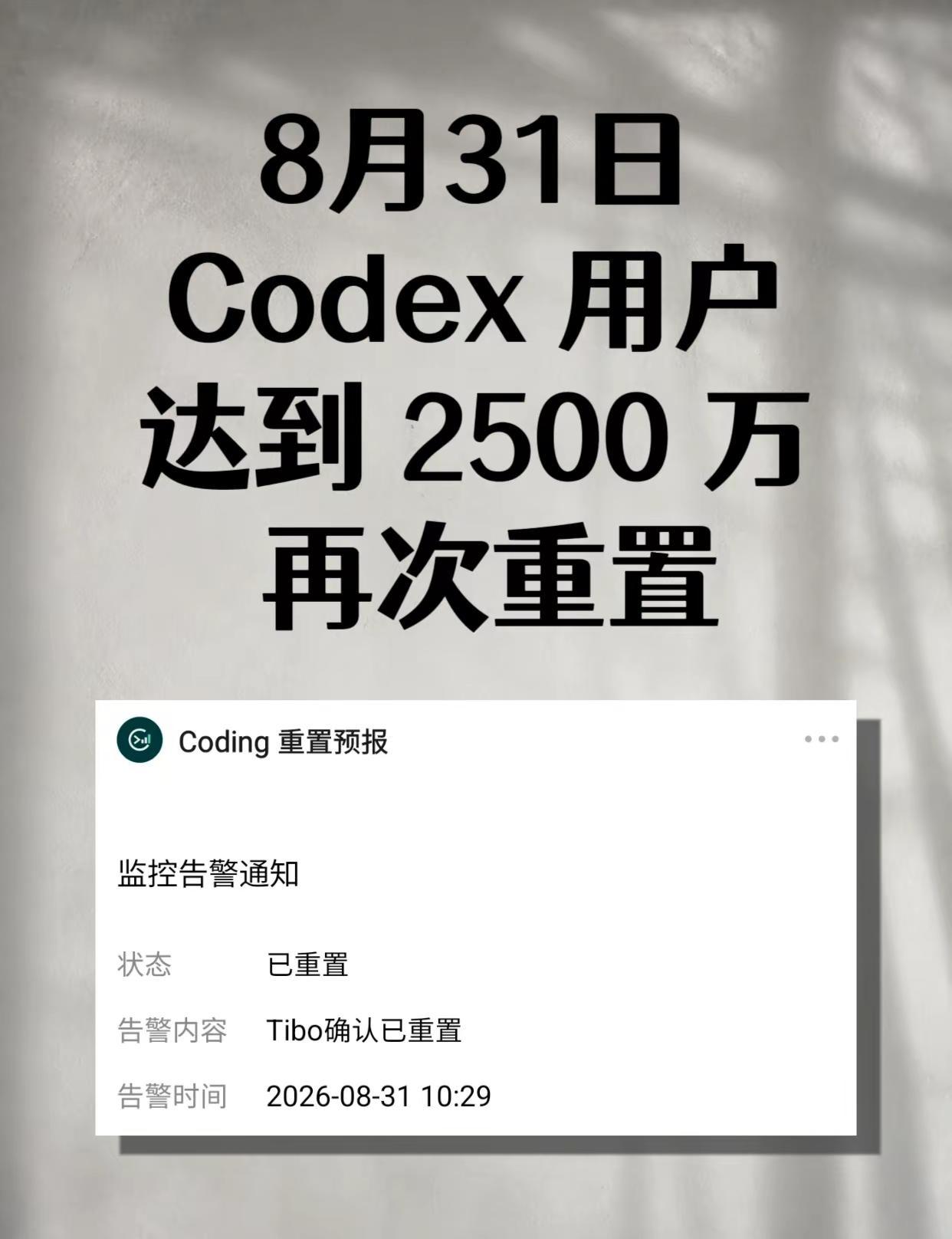 比额度先撑不住的可能是我。Codex 用户达到了 2500 万，Tibo 再次按