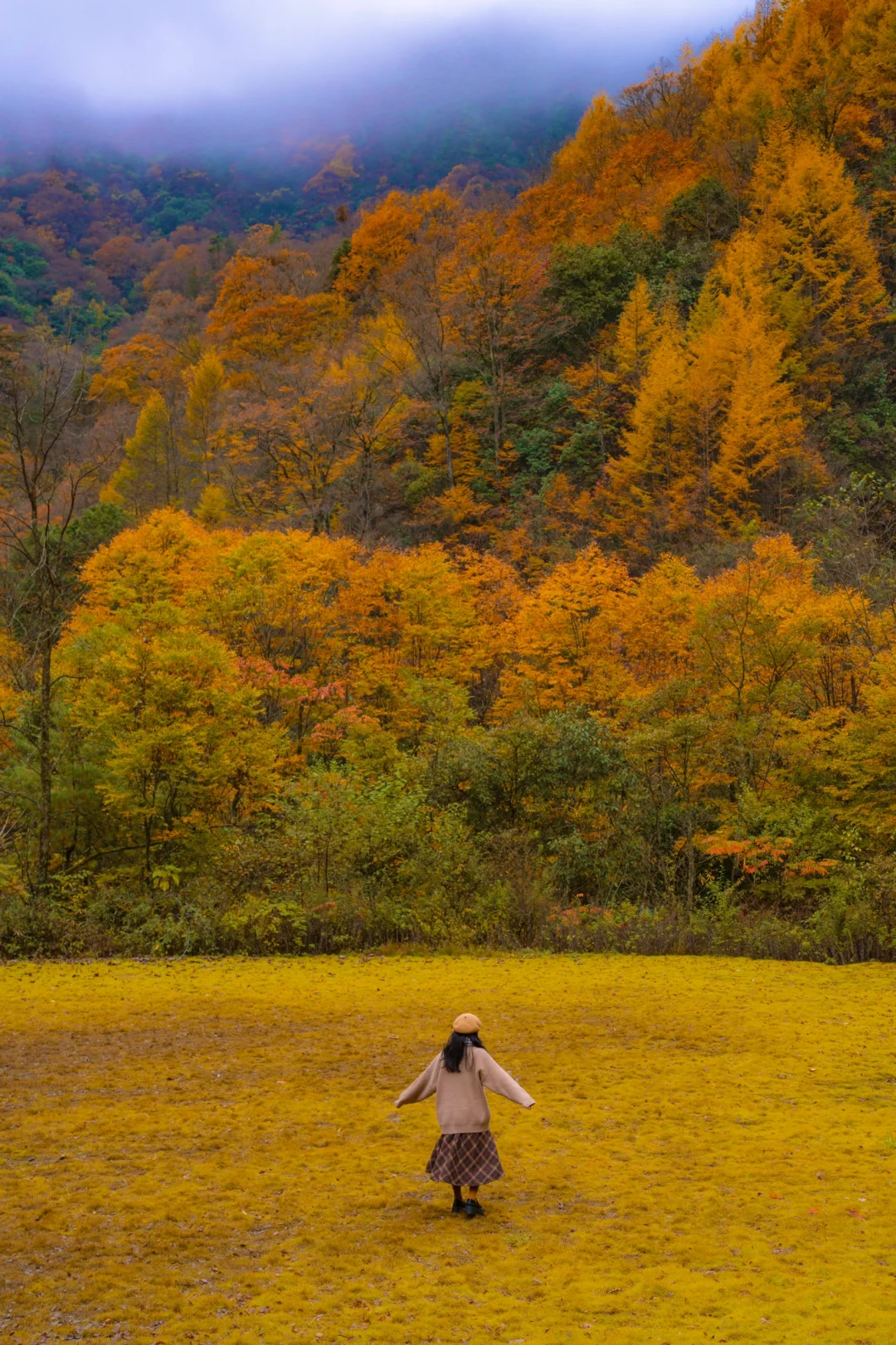 已经开始期待光雾山的秋🍂是云里雾里的秋啊