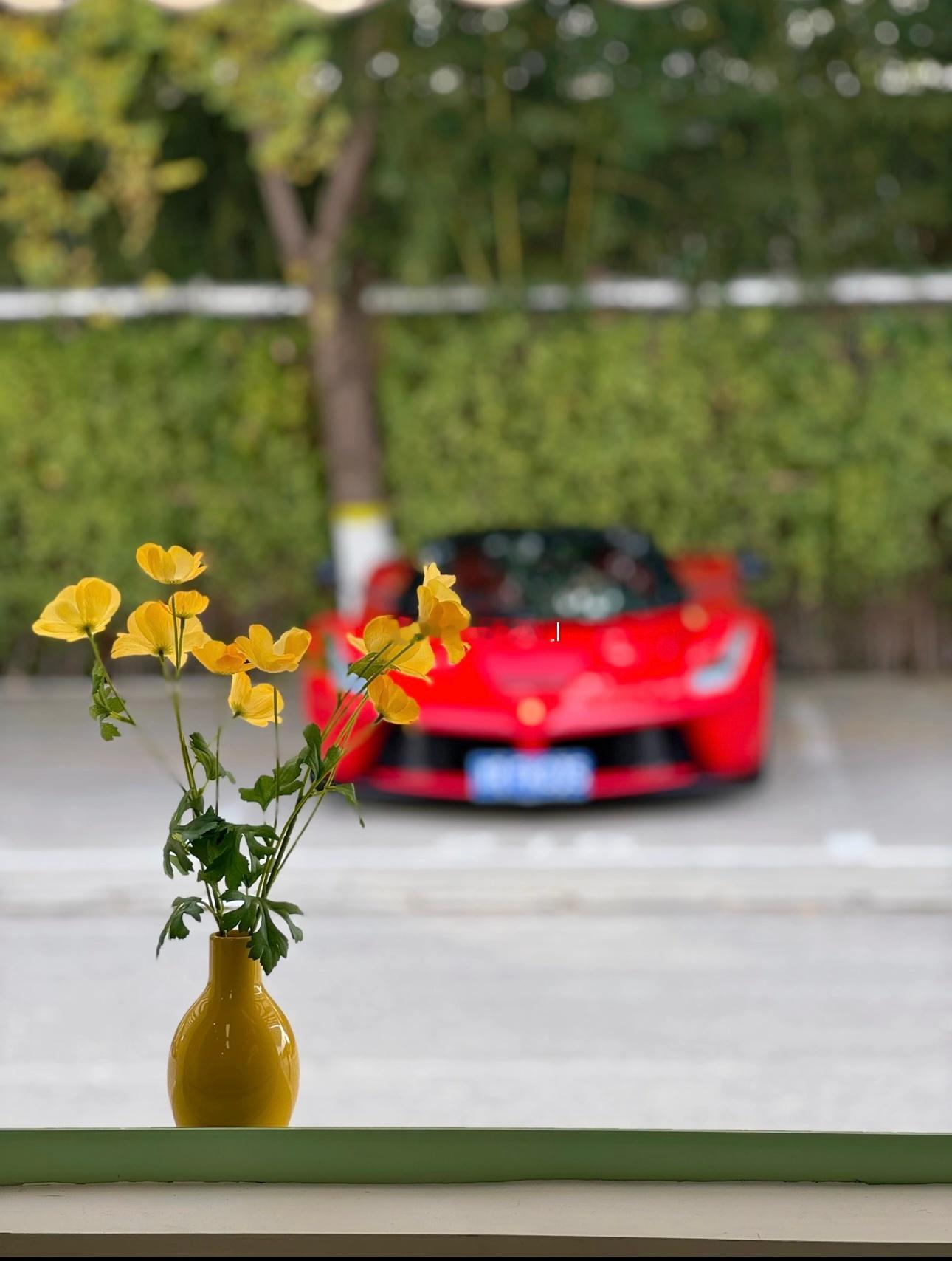 拉法美如画～梦想家ALI  ​​​