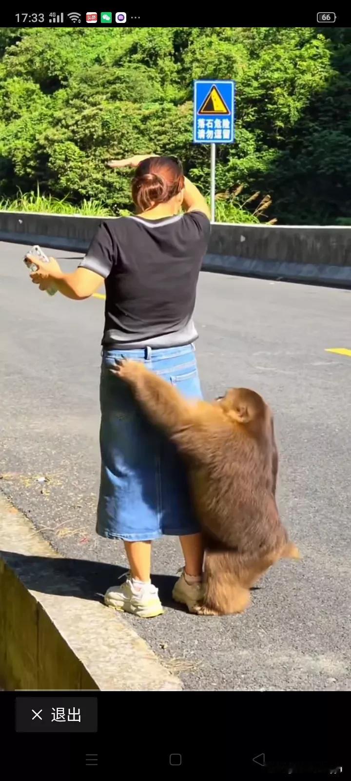 看见这些游客被猴子骚扰，我就来气。都说人和动物之间要和谐，这能和谐的了吗？自上一