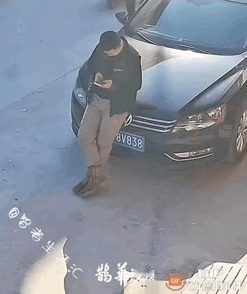 喜鹊送喜来了！玩手‮头低前车在靠正，子男名一
机，没想到一只喜鹊突然飞过来，稳稳