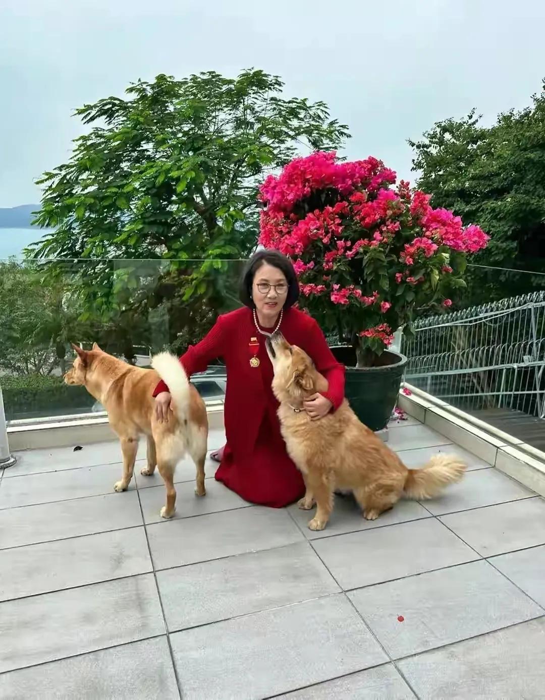 曾经的香港一姐汪明荃年虽已过70，但依然没有停下梦想的脚步。

参加颁奖活动，一