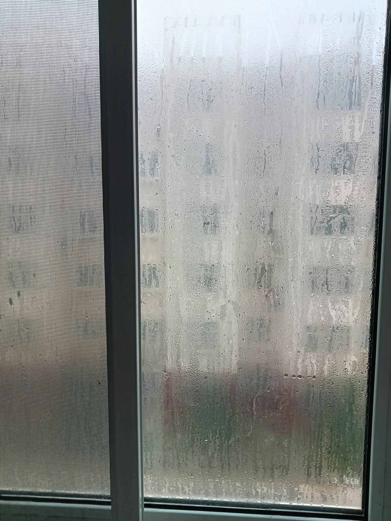每天早上起来必做的一件事，先擦干窗户上的水汽，谁能想到啊，以干旱著称的大西北，在