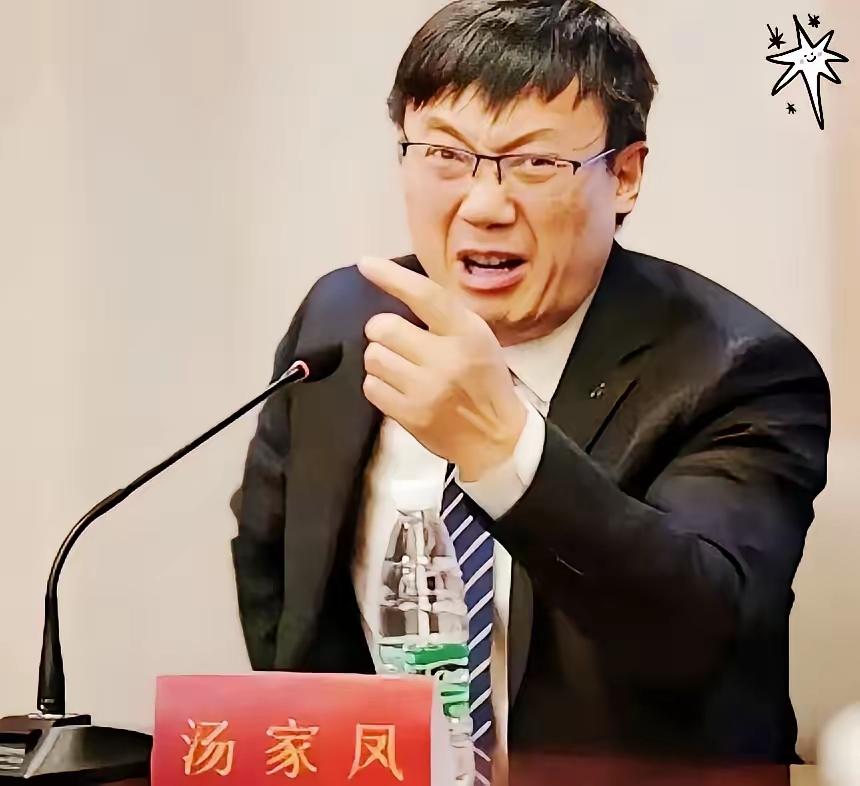 汤家凤终于捅破了窗户纸：美院的境外资助，该公布了！
​汤家凤今早发了条动态，比以