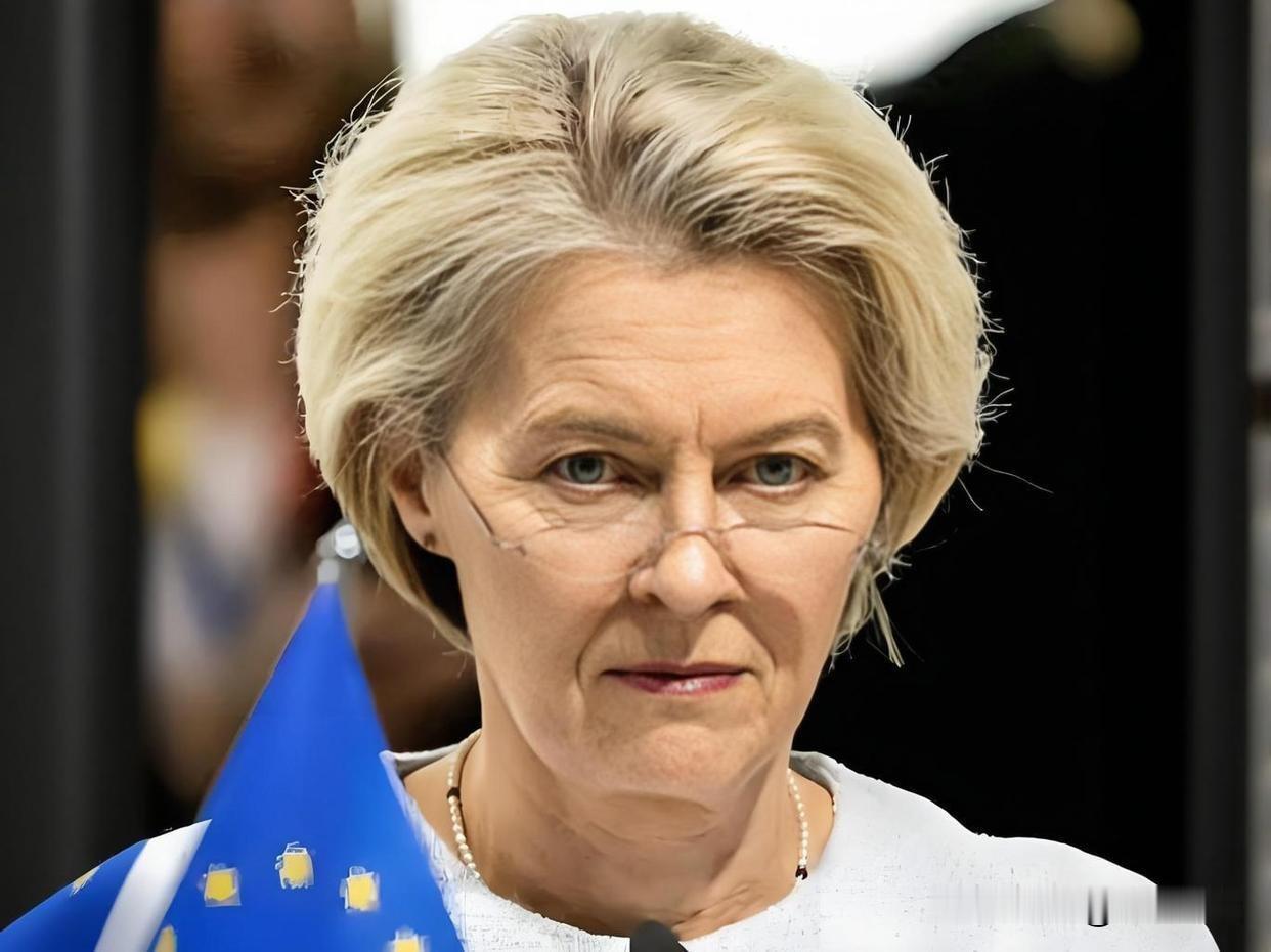 “俄资产援乌方案”“胎死腹中”，“欧盟峰会”草草结束。有人指责欧盟“优柔寡断”，