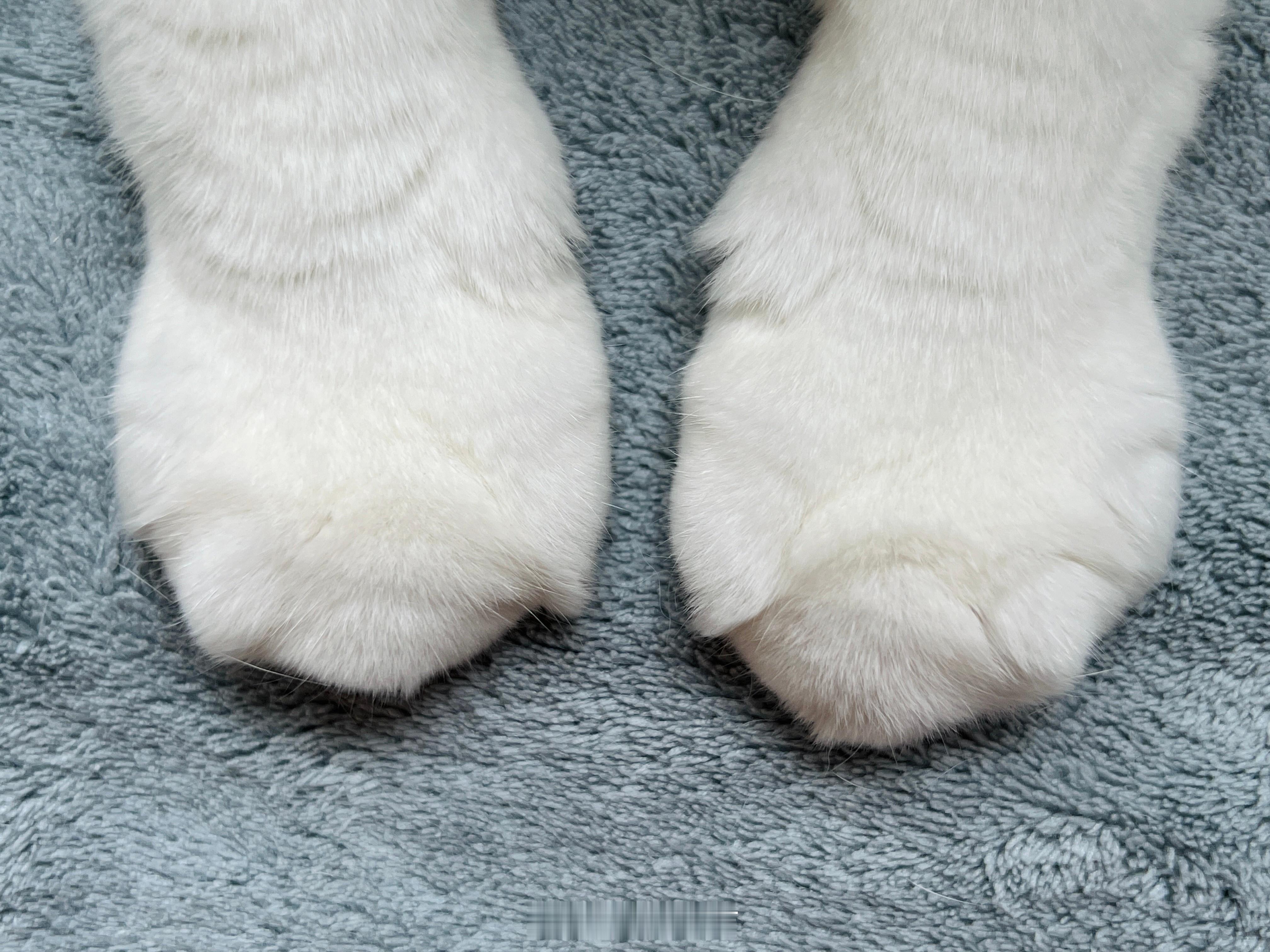 大寶寶鬆鬆軟軟的。 ​​​