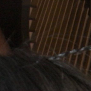 每日一善  2000常怀柔软善心，把温柔融进日常点滴。多体谅他人难处，主动伸出自
