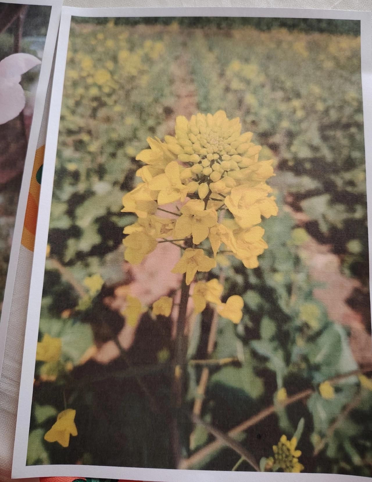 每天都重复同样的事情，是人都会烦躁吧。
日复一日的生活，怎样让它不是乐趣呢？
那