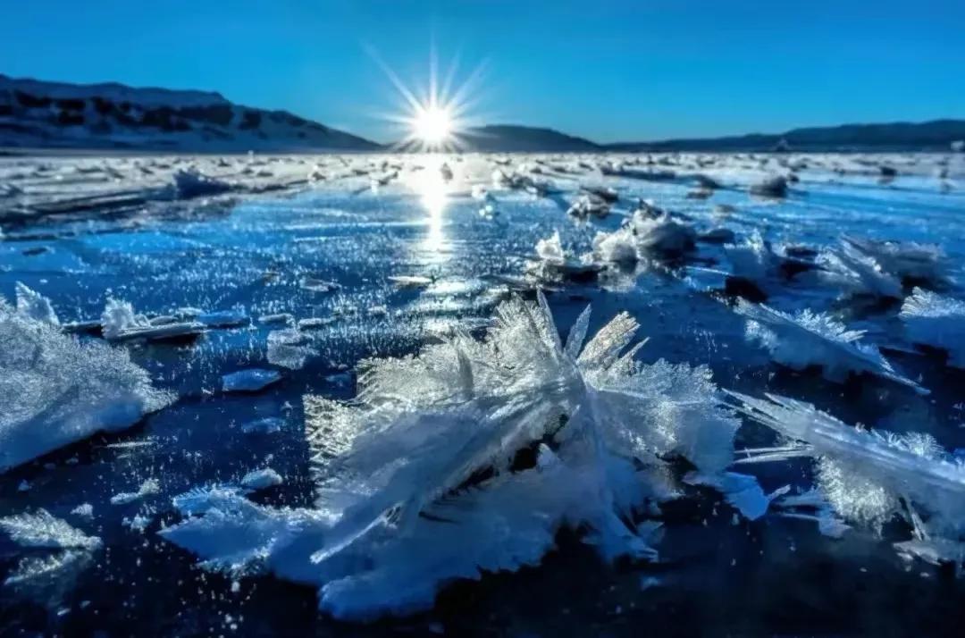 人怎么可以这么恶毒，
可以随意造谣别人，
可以任何角度的去黑别人，
相比较于人性