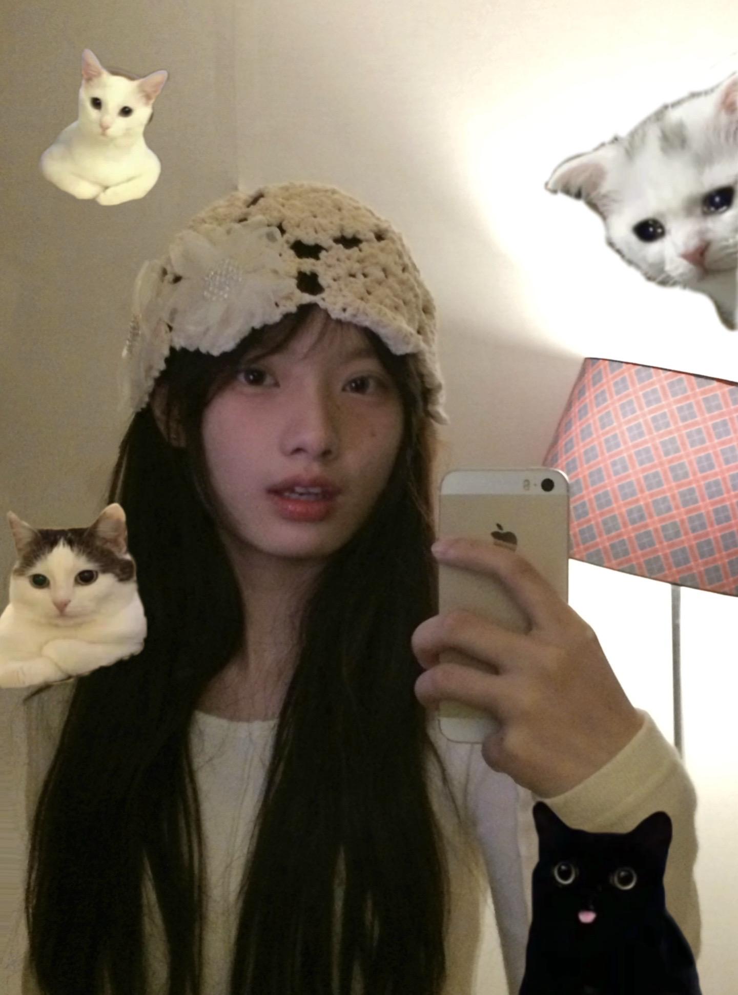 我提前说一下，我是文盲，和猫共用一个账号，如果这个账号发了不好的言论...