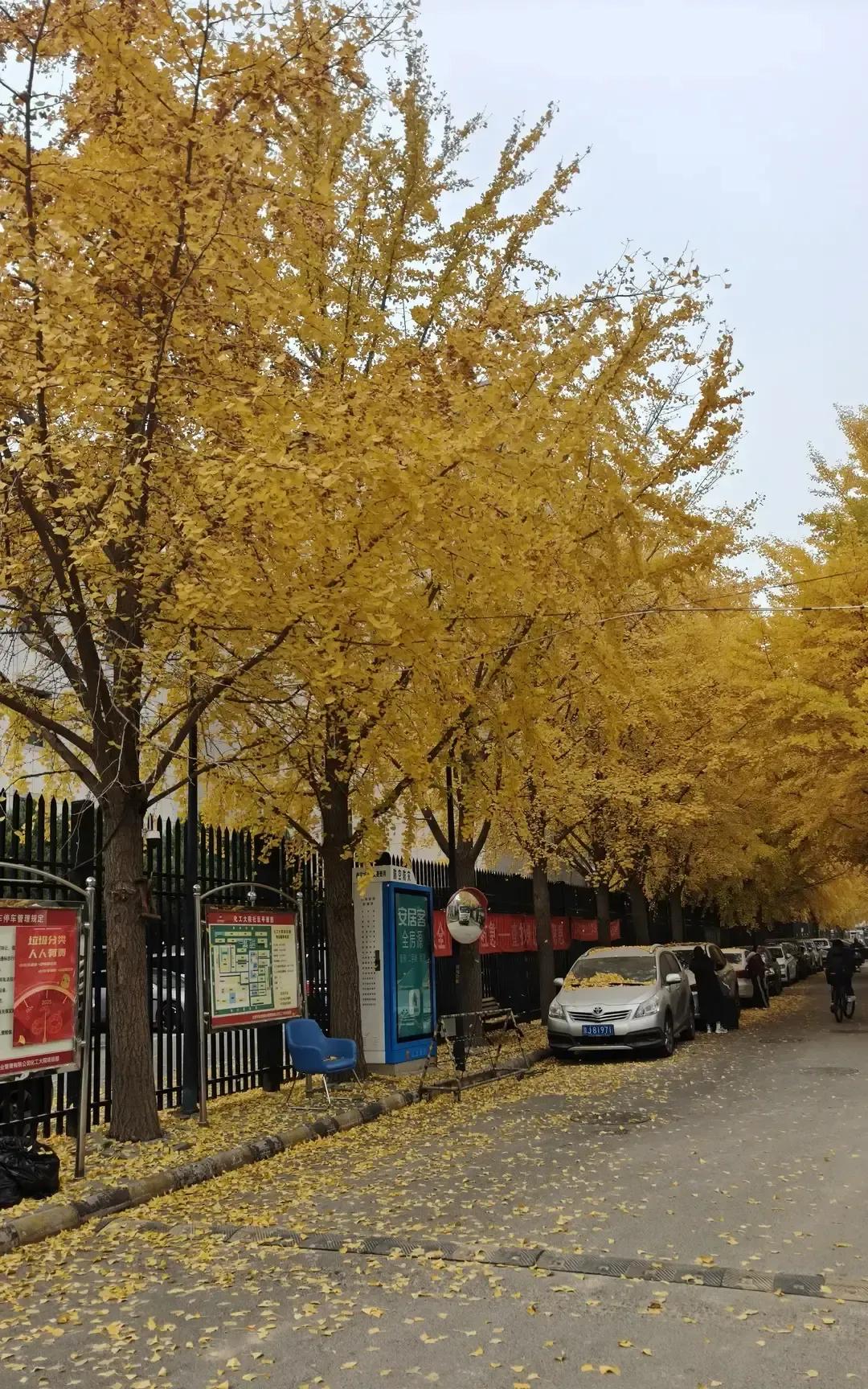 刷到一篇退休老哥写的帖子，说把同学群退了，把亲戚饭局也推了，每天六点起床去菜市场