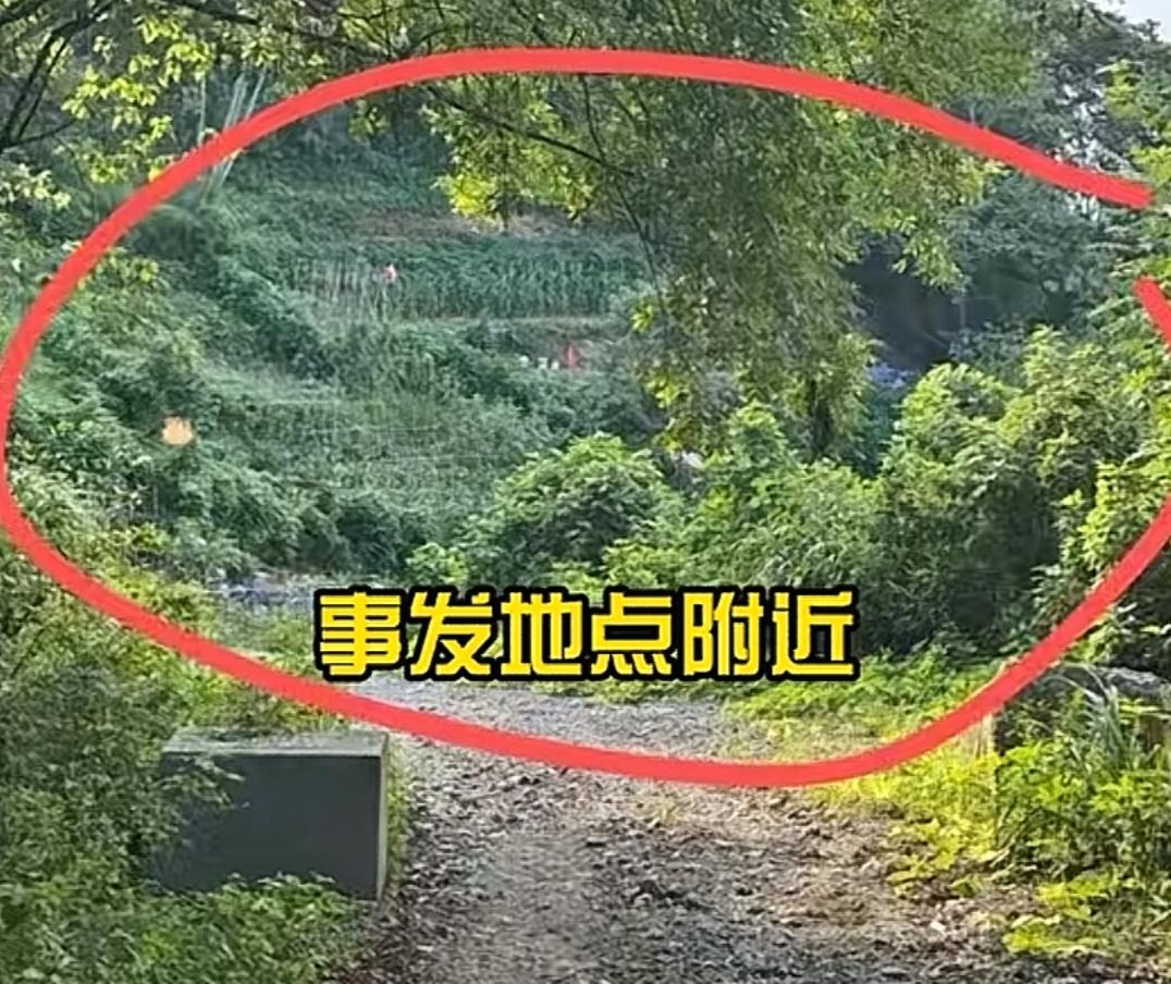 女子踩“化骨水”身亡案的肇事者找到了，是一名从事外墙清洗工作的52岁男子在201